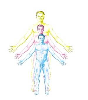 3 prekrývajúce sa mužské telá rôznych veľkostí v troch farbách